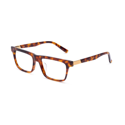 Cove Tortoise Clear