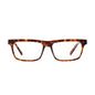 Cove Tortoise Clear